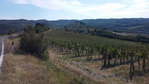 Greve - colline del chianti